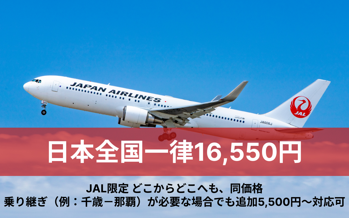 16,550円で利用できる 国内一律激安航空券購入サービス
