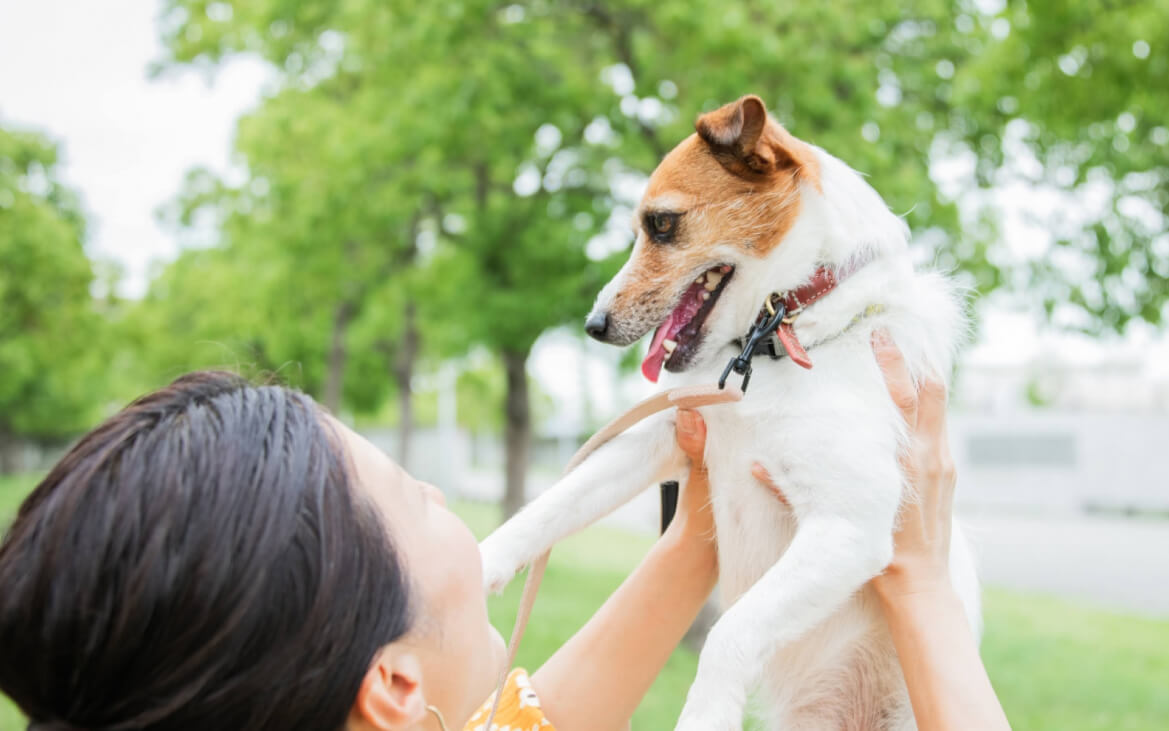 ペットを飼われている方におすすめ！ペット関連サービス